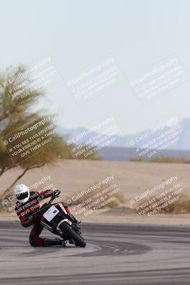 media/Nov-30-2025-TrackXperience (Sun) [[c0061d280f]]/2-Level 2/Session 6 Turn 4 Tree of Life/